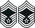 USAF Chief Master Sergeant E-9